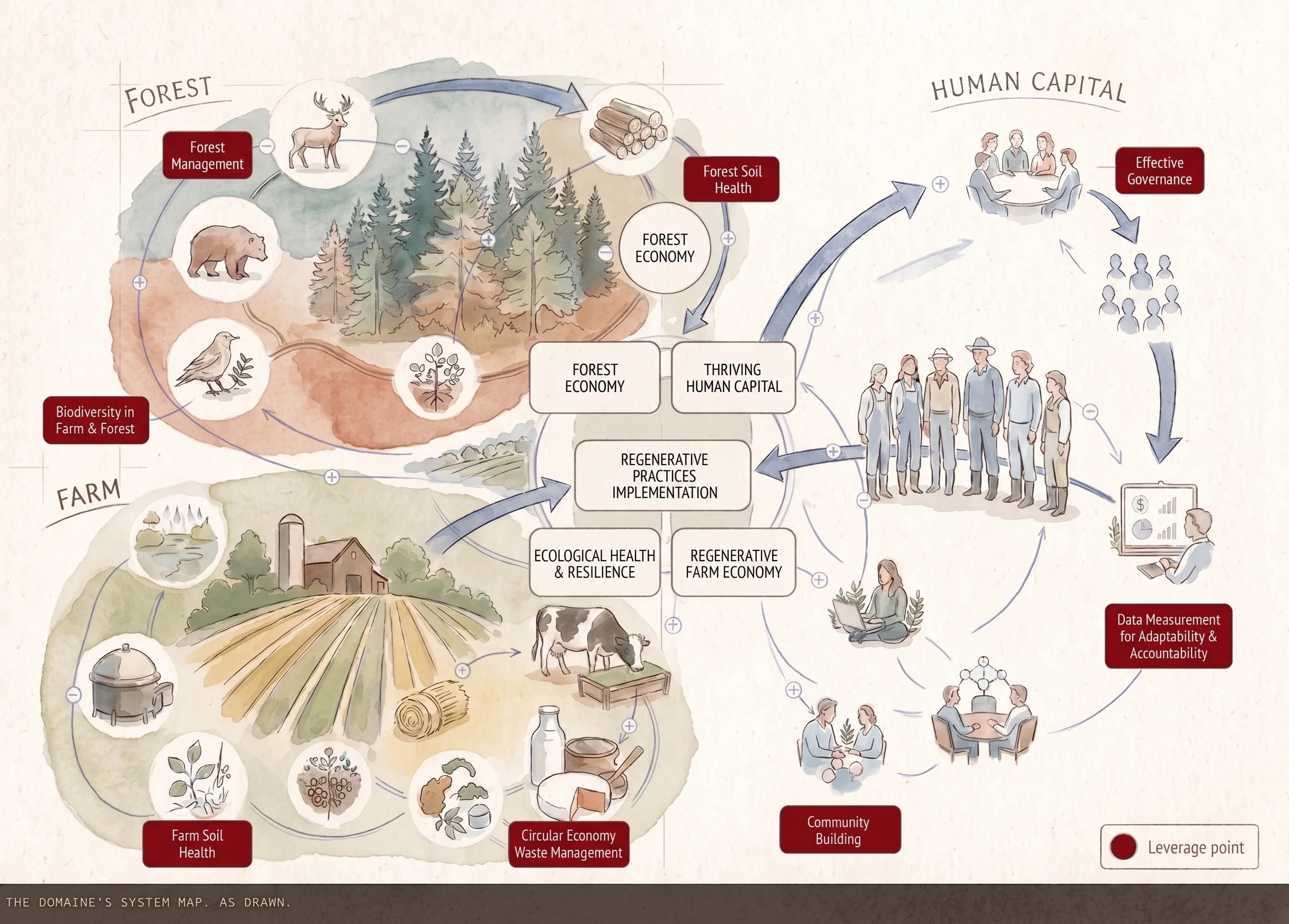 Illustrated system map of the domaine linking farm, forest and human capital through regenerative practices, with labelled leverage points for governance, biodiversity, circular economy, data and community building